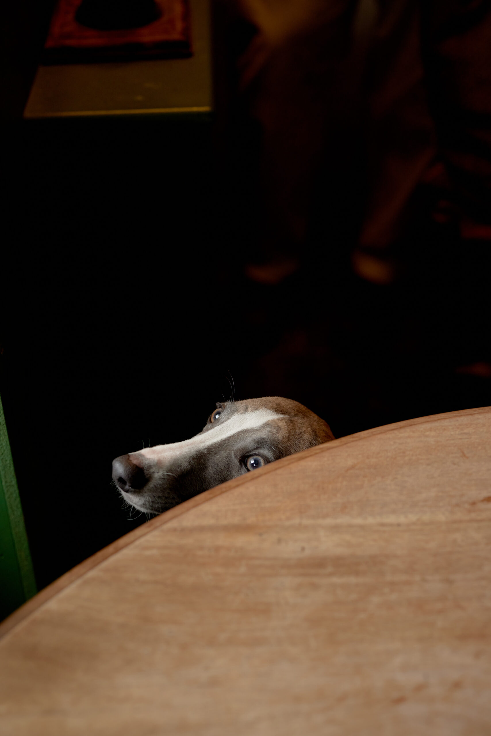 Dog-friendly stays at The Bell & Crown in Zeals, Wiltshire